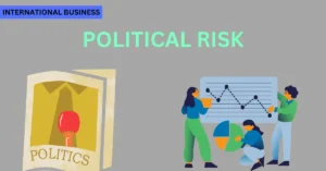 What is Political Risk in International Business?