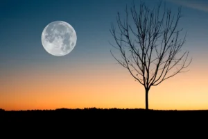 13 Interesting Facts About the Moon